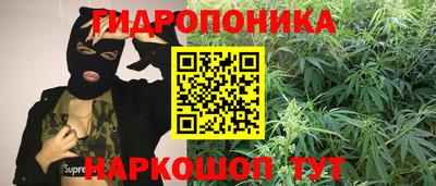 МДПВ Ливны