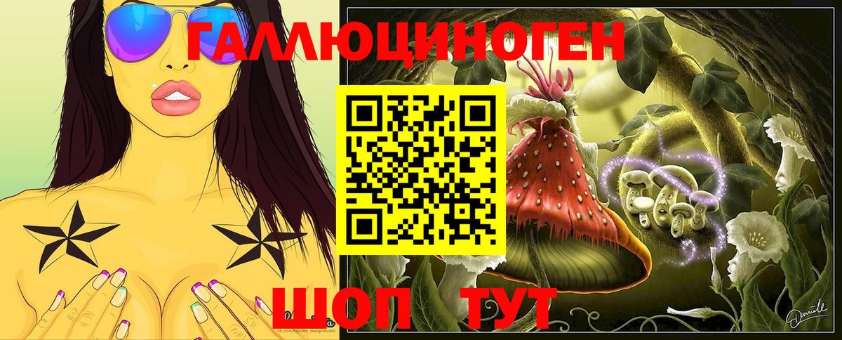 Галлюциногенные грибы GOLDEN TEACHER  Вход с VPN  Камень-на-Оби 