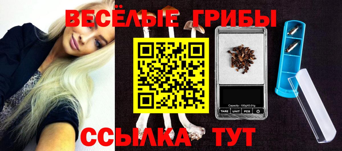 Галлюциногенные грибы мухоморы Камень-на-Оби