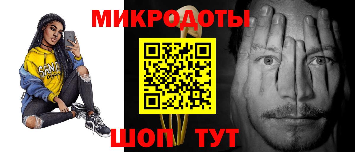 Галлюциногенные грибы Psilocybe Камень-на-Оби