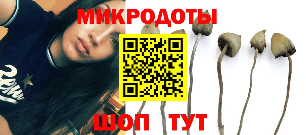 Псилоцибиновые грибы мицелий  Псилоцибиновые грибы MAGIC MUSHROOMS  Камень-на-Оби 