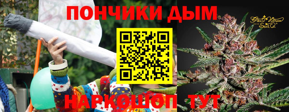 Бошки Шишки план Камень-на-Оби